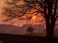 2014.03.07_185557_Sonnenuntergang Sachsenried_3000.jpg